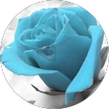 Written Testimonials 1 anguru mounika profile picture