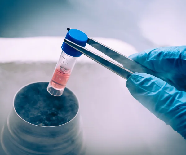 Egg freezing services